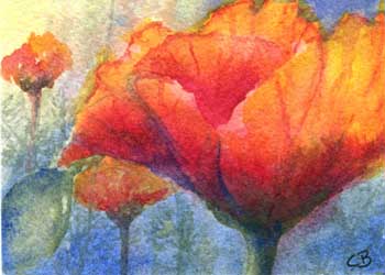 "Poppies" by Cheryl Breunig, Prairie du Sac WI - Watercolor - SOLD